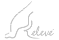 Centro Relevé AC
